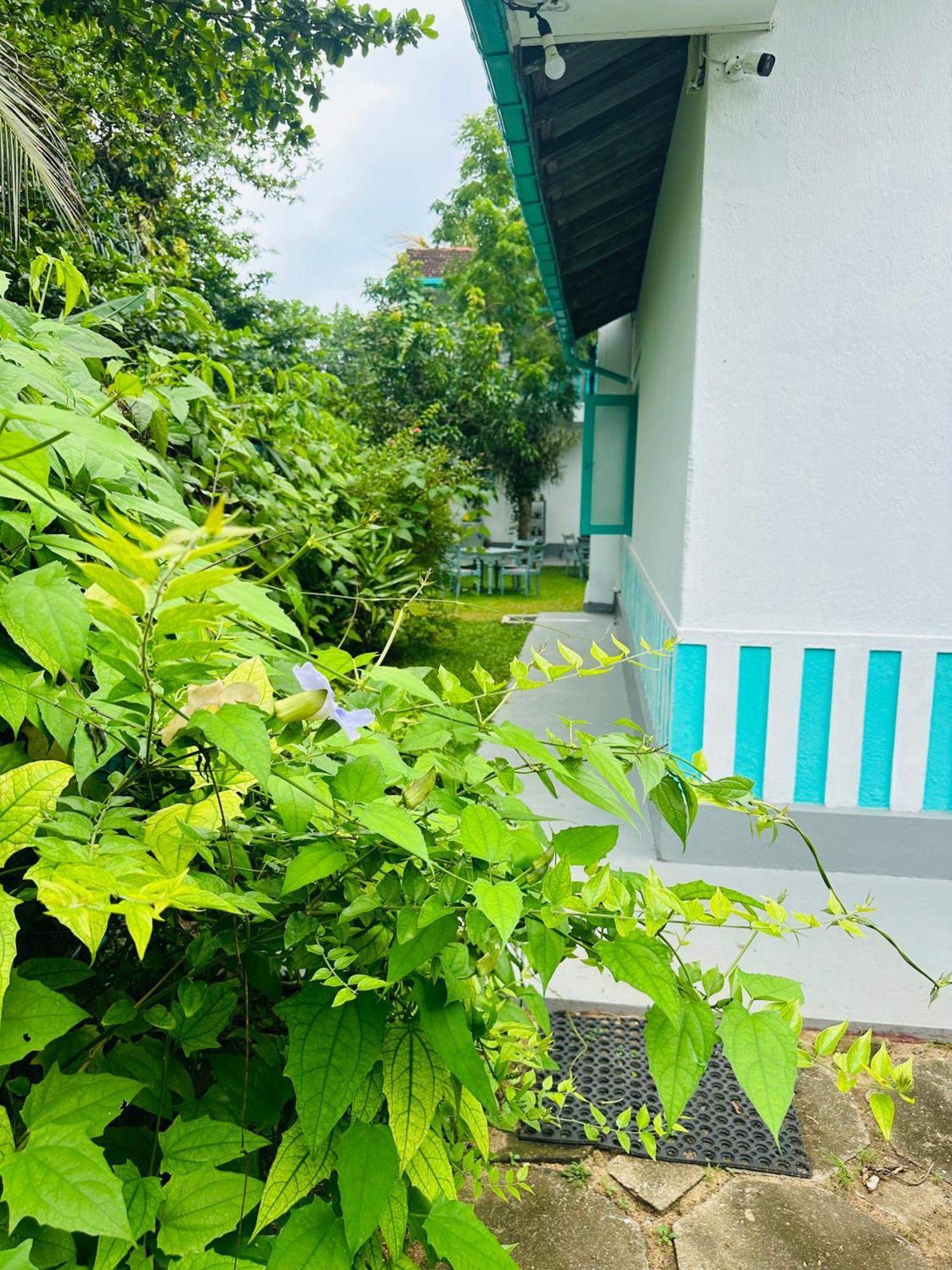Villa 47 Хикадува Екстериор снимка